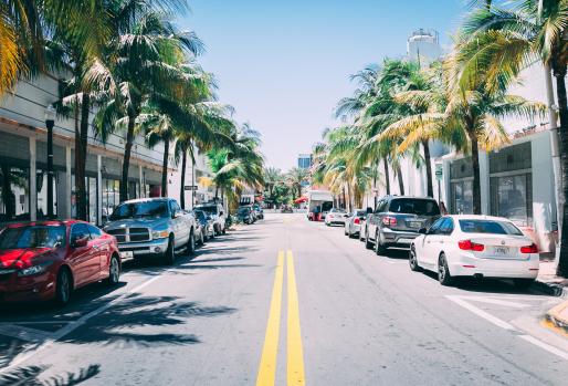 View of car and palm-lined Florida street