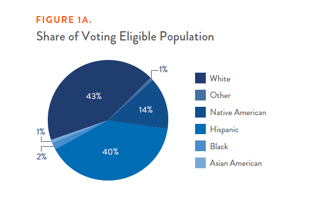 Figure 1A. Share of Voting Eligible Population - Circle Graph