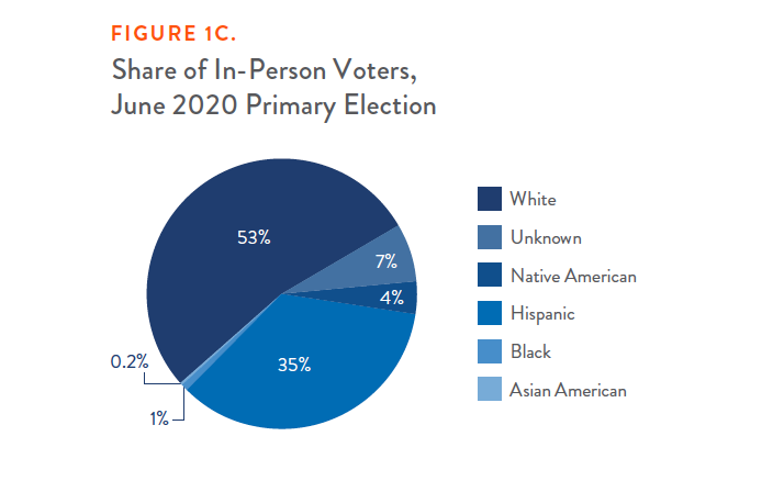Figure 1C. Share of In-Person Voters, June 2020 Primary Election - Circle Graph